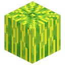 Melon