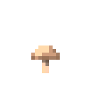 Brown Mushroom