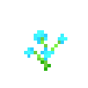 Blue Orchid