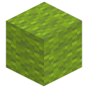 Green Wool