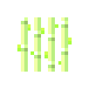Sugar Cane
