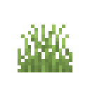 Grass