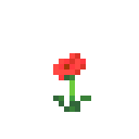 Poppy