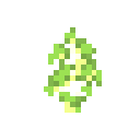 Birch Sapling