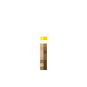 Torch